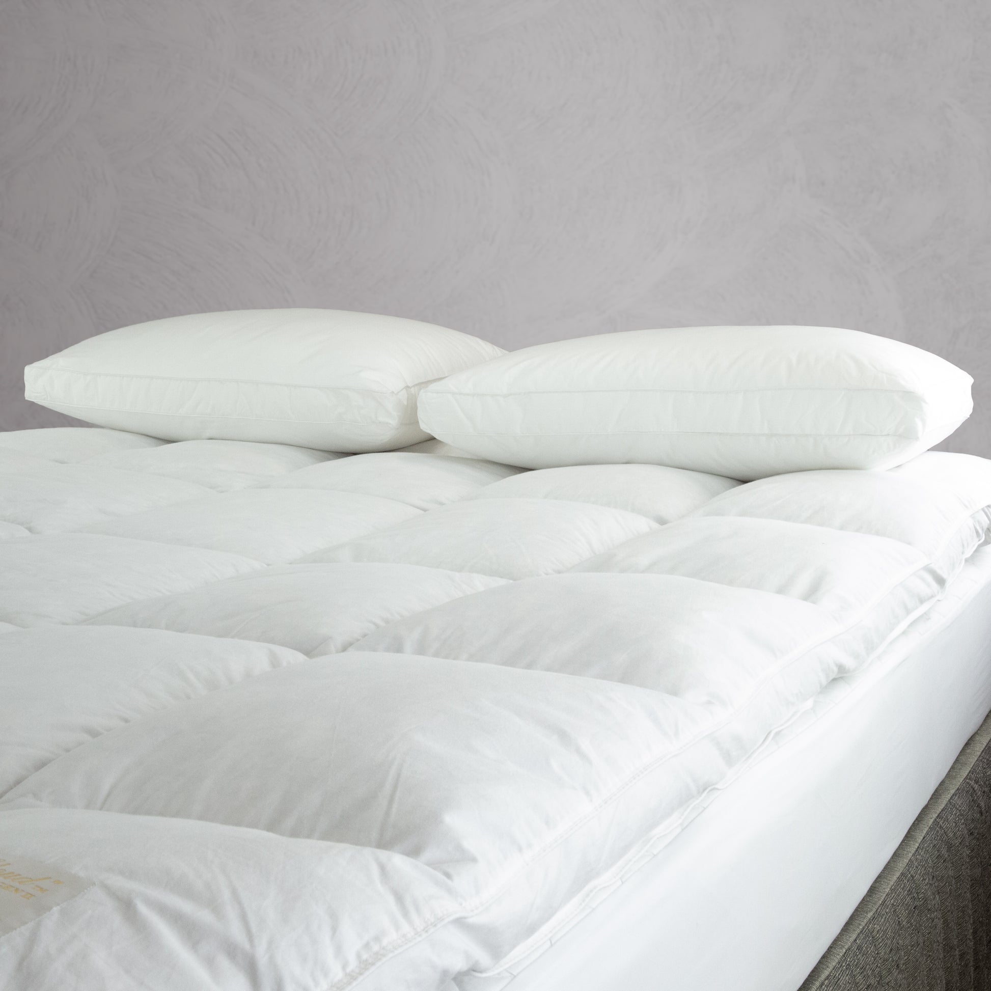 International Pillow – Cloud Bedding Co