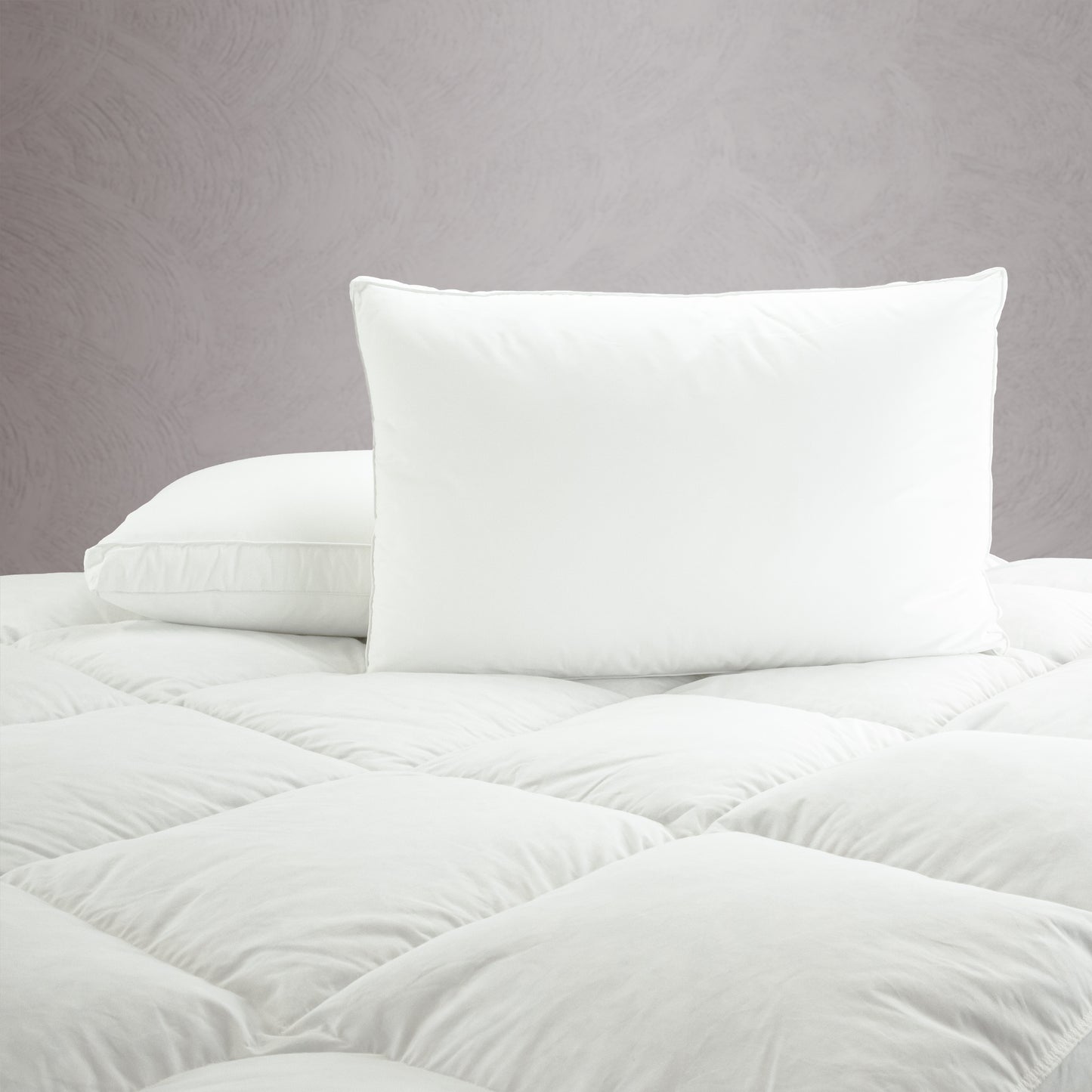 Cloud Bedding Co - International Pillow