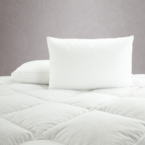 International Pillow – Cloud Bedding Co